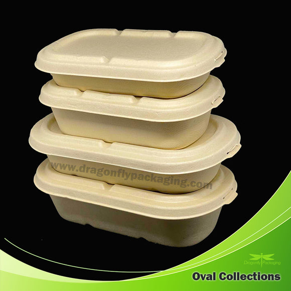 Bagasse Container